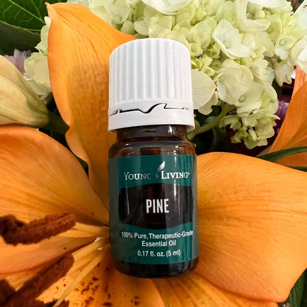 Young Living Essential Oil - Pine 5ml